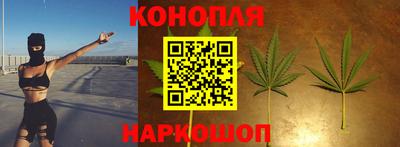 эйфоретик Ефремов