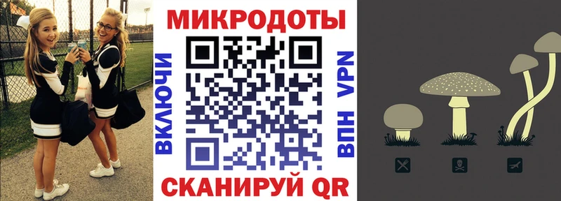 наркота  сайты даркнета клад  Псилоцибиновые грибы мицелий  Дальнегорск 
