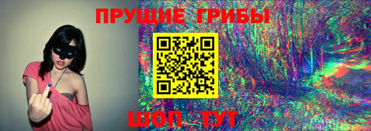 хочу   Вход с VPN  Псилоцибиновые грибы прущие грибы  Дальнегорск  Псилоцибиновые грибы ЛСД 