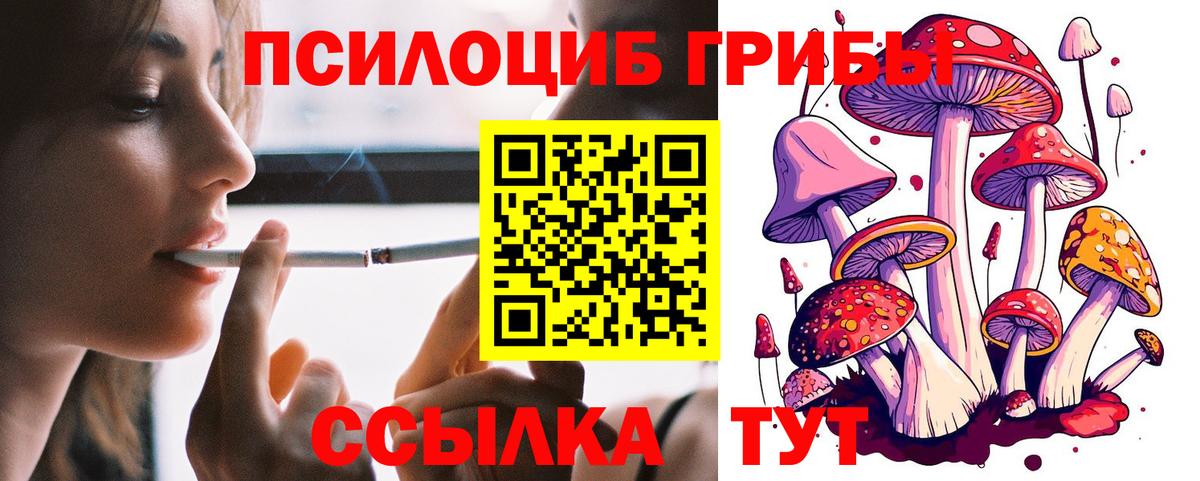 Галлюциногенные грибы GOLDEN TEACHER Дальнегорск